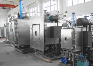 水果專用真空冷凍干燥機調(diào)試成功